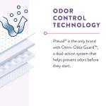 Per-Fit Incontinence Protective Underwear for Women