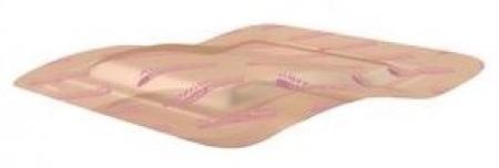 3M Acelity KerraFoam Gentle Border Absorbent Dressings, 4 Inch x 12 ...