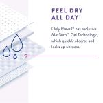 Per-Fit Incontinence Protective Underwear for Women